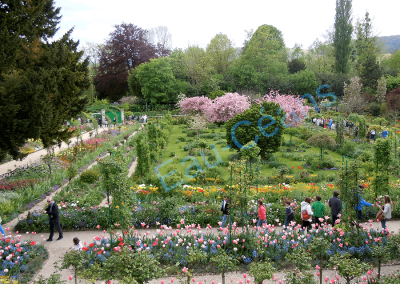 Le "Clos Normand", jardin de fleurs à Giverny